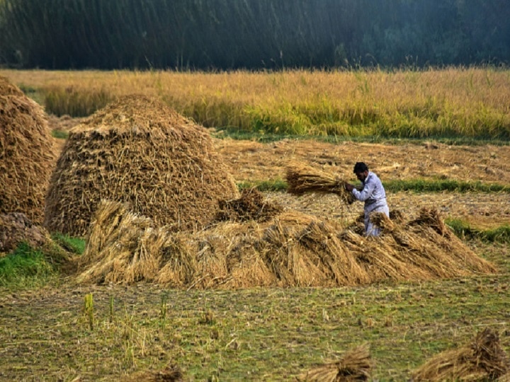 Roshni Act: Jammu Kashmir Govt Annuls Dealings; Orders Land To Be Retrieved Within 6 Months Jammu & Kashmir Govt Annuls Dealings Under Roshni Act; Orders All Such Land To Be Retrieved Within 6 Months