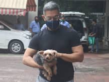 PHOTOS: Aamir Khan Shows Off Grey Hair As He Take Pooch Imli To Vet Clinic
