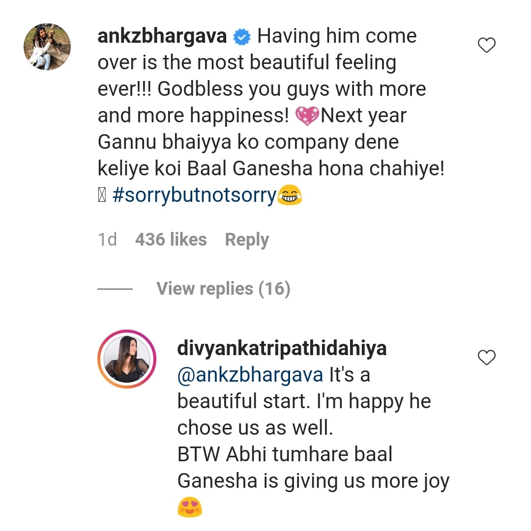 Karan Patel’s Wife Ankita Wishes Divyanka Tripathi To Have A ‘Baal Ganesh’ By Next Ganesh Chaturthi, See Their CUTE Banter
