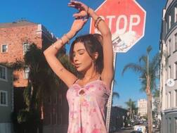 Bigg Boss 14 Rumoured Contestant Sakshi Chopra's LA Apartment Catches Fire!