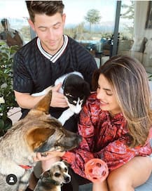 International Dog Day: Here Are Some Adorable Photos Of Bollywood Celebs And Their Pooches