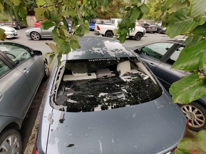 Ireland Cricketer Kevin O'Brien Smashes Own Car Window With Monstrous Six That Lands In Parking Area Irish Cricketer Kevin O'Brien Smashes Own Car Window With Monstrous Six That Lands Outside Ground In Parking Area
