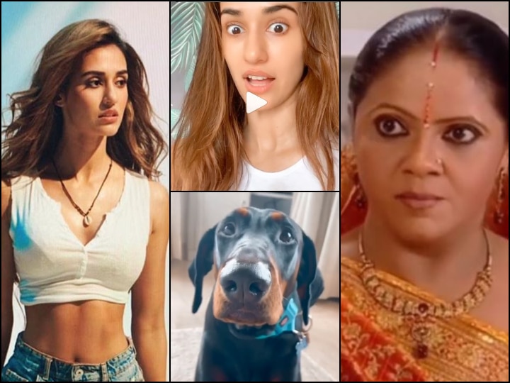 Disha Patani Questions Dogs Rasode Mein Kaun Tha Kokilaben Viral Rap Video Saath Nibhana Saathiya WATCH: Disha Patani Turns Into Kokilaben, Questions Her Innocent Dogs 'Rasode Mein Kaun Tha' In This Hilarious Video