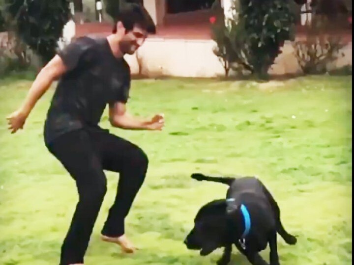 Sushant Singh Rajput Sent Funds For His Dogs Amar, Akbar, Anthony A Day Before His Death: Farmhouse Caretaker Sushant Singh Rajput Sent Funds For His Dogs Amar, Akbar, Anthony A Day Before His Death: Farmhouse Caretaker