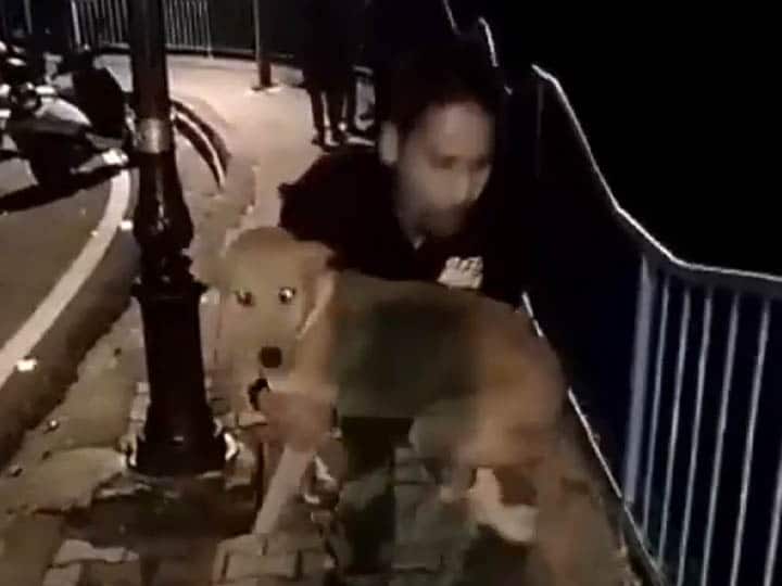 VIRAL VIDEO Monstrous Man Throws Dog Off A Bridge In Bhopal; Culprit