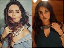 Bigg Boss 13's Shehnaaz Gill Leaves Fans Spellbound With Her Transformation Post 12 Kgs Weight Loss