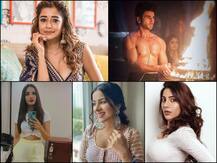 Bigg Boss 14 Contestants List: From Tina Datta To Nikki Tamboli, THESE 12 Celebs To Get Locked In Salman Khan's 'BB 14' House?