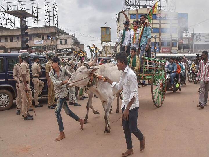 Hubballi: Farmers ride a bullock cart during a protest as part of farmers' groups bandh call over new farm bills, in Hubballi, Monday, Sept. 28, 2020. (PTI Photo) (PTI28-09-2020_000065B)