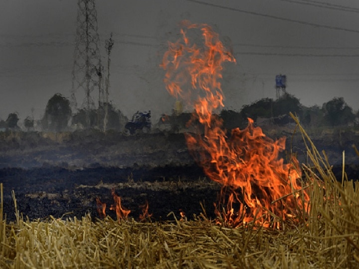 Stubble Burning In Punjab, Haryana, Delhi Air Quality High Court Plea Farmers Covid-19 Crisis Stubble Burning Will Lead To Health Problems In Delhi Amid Alarming Covid-19 Situation, Plea Moved In HC