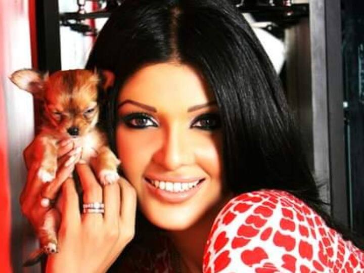 Actress Koena Mitra Has A Serious Allegation Against Twitter! Here's What You Need To Know Actress Koena Mitra Has A Serious Allegation Against Twitter! Here's What You Need To Know