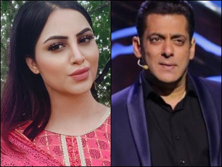 Bigg Boss 11 Contestant Arshi Khan Opens Up On Controversies Surrounding The Show Says It Exists Because Public Likes Watching These Things ‘Bigg Boss 11’ Contestant Arshi Khan Opens Up On Controversies Surrounding The Show; Says ‘It Exists Because Public Likes Watching These Things’