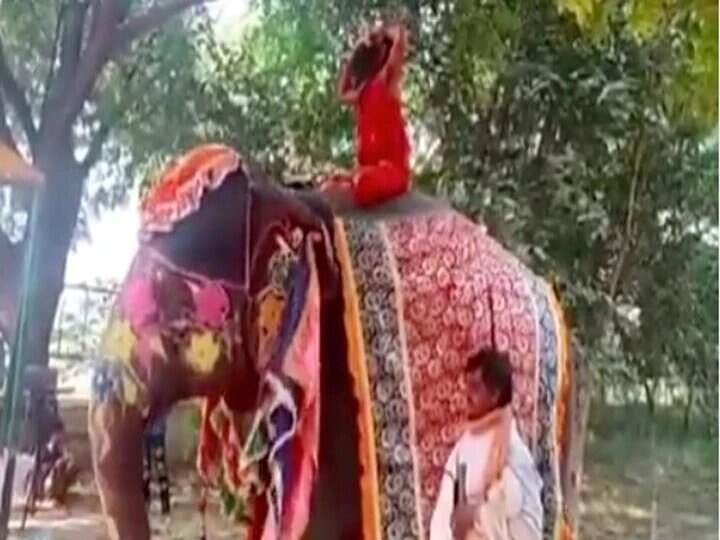 Viral Video Of Baba Ramdev Falling Off Elephant While Performing Yoga WATCH: Viral Video Of Baba Ramdev Falling Off Elephant While Performing Yoga