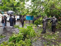 In Pics | Cyclone Nivar Wreaks Havoc As Heavy Downpour Pounds Tamil Nadu Coast; Centre Closely Monitoring Situation