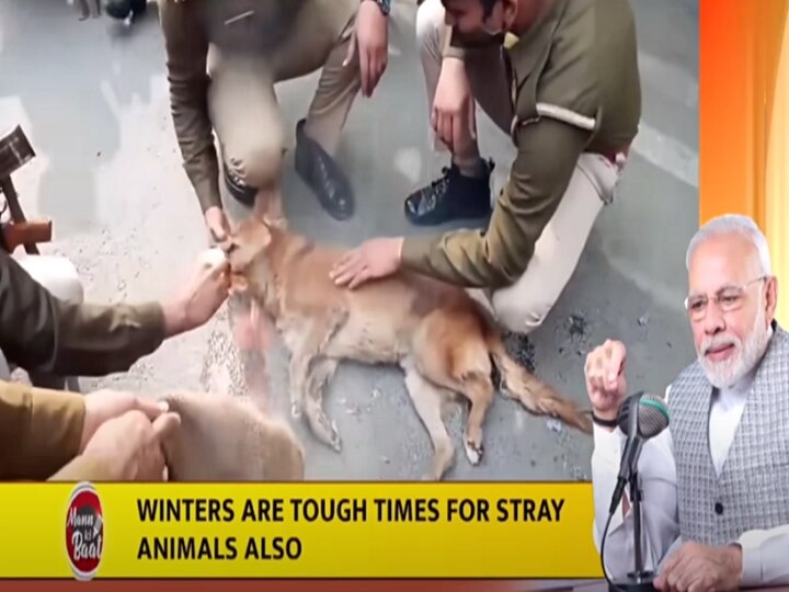 Rakesh Dog Who Featured In PM Narendra Modi 'Mann Ki Baat' Address Dies At The Age Of Five, Buried With Full Honours By PAC 'Rakesh' The Dog Who Featured In PM Modi's 'Mann Ki Baat' Address Dies At The Age Of Five, Buried With Full Honours By PAC