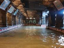 Cyclone Burevi Weakens Into Deep Depression, Check Pictures From The Day