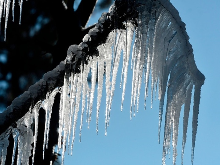 Icicles hang from a tree near Yusmarg, some 55 Km from Srinagar. (Photo by TAUSEEF MUSTAFA/AFP via Getty Images)