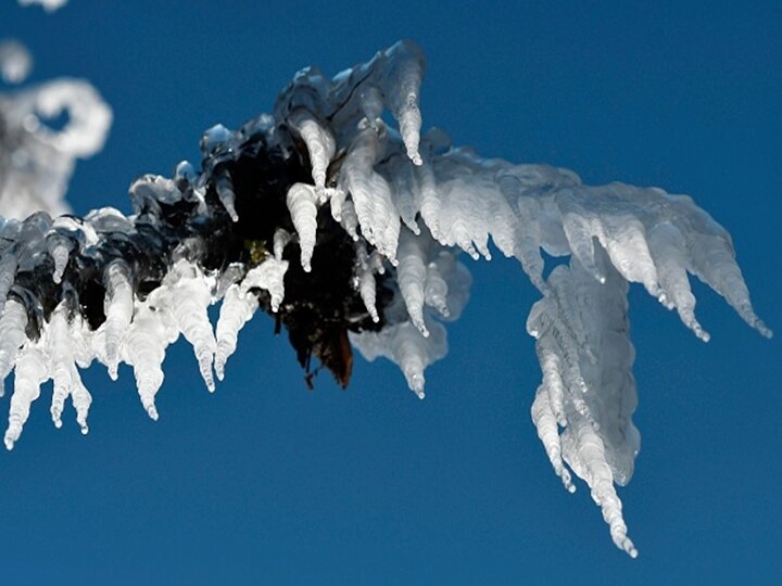 Icicles hang from a tree near Yusmarg, some 55 Km from Srinagar. (Photo by TAUSEEF MUSTAFA/AFP via Getty Images)