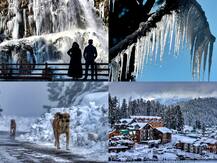 IN PICS: Temperature Dips In Kashmir As Frozen Waterfall, Icicles Become A Common View; Check Breathtaking Images