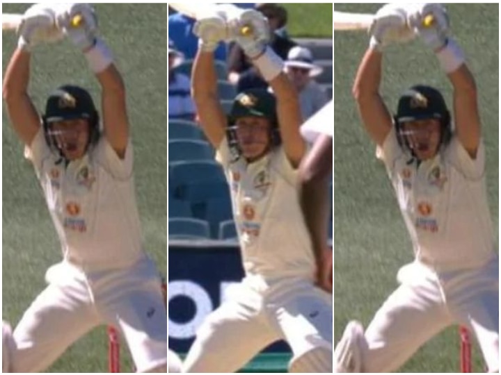 India vs Australia: Marnus Labuschagne Funny Batting Video, Shouts 'No Run' During Pink-Ball Test At Adelaide  Watch: Marnus Labuschagne Leaves The Ball Extremely Theatrically, Shouts 'No Run' 