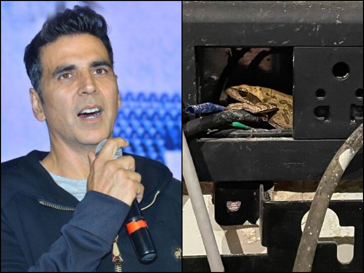 Akshay Kumar Finds Frog In Phone Charging Socket Shares PIC Twinkle Khanna 'This One Is Clearly Occupied': Akshay Kumar Finds Frog In Electrical Socket, Shares Quirky Post