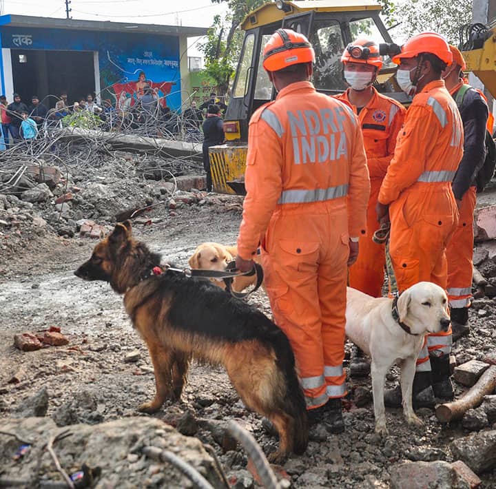 Sniffer Dogs were also used by the NDRF team for rescue operations at the site. Image (PTI)