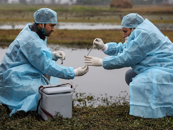 WHO Warning on H5N1 virus, WHO said bird flu could jump to Humans अब इस वायरस को लेकर WHO ने दी चेतावनी, कहा- नहीं बरती सावधानी तो कोविड के जैसे मचाएगा तबाही