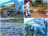 IN PICS | Bird Flu Outbreak Wreaks Havoc As Kerala, MP, Raj & Other States Begin Culling Of Birds