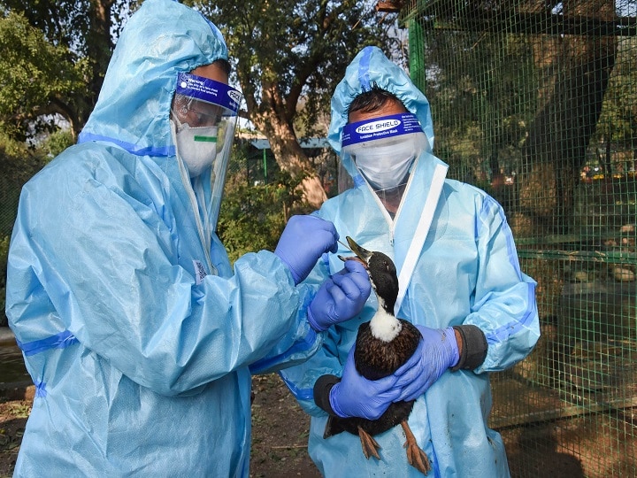 Centre beefs up measures to curb avian flu asks states to increase surveillance Bird Flu Outbreak: Centre Beefs Up Measures To Curb Flu, Asks States To Increase Surveillance