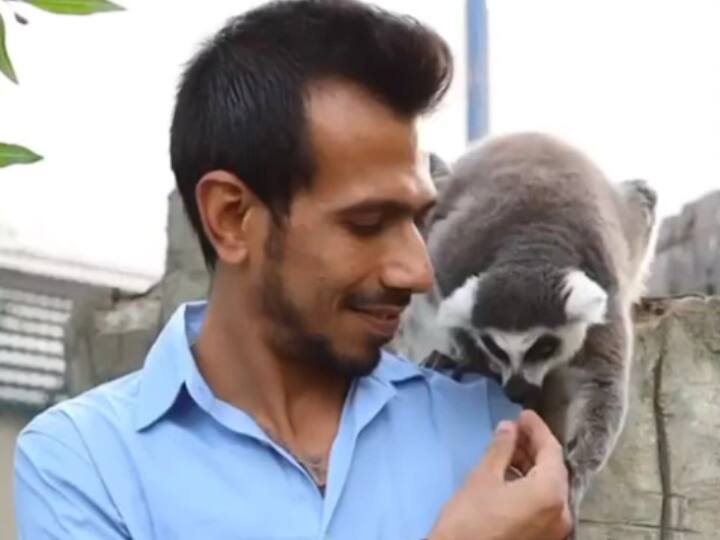 Dhanashree and Chahal also befriended a Lemur in the Fame Park. This mammal is found exclusively on the island of Madagascar. (Pic Courtesy: Instagram)