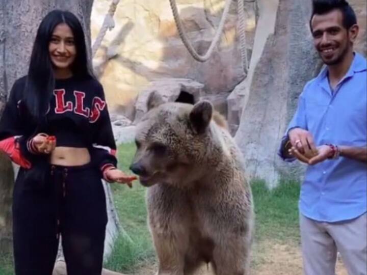 Yuzvendra Chahal and Dhanashree Verma. (Pic Courtesy: Instagram) 