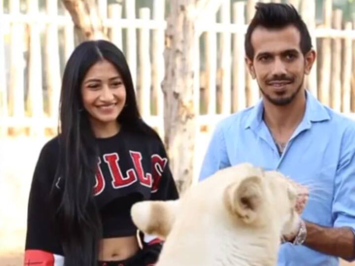 During his visit at the park, Chahal did not forget to feed the 'White Lion'. Lions and leopards are specially taken care of in this park.