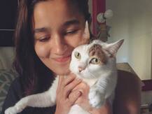'Goodbye My Angel': Alia Bhatt Shares Emotional Post As Her Pet Cat Sheeba Passes Away