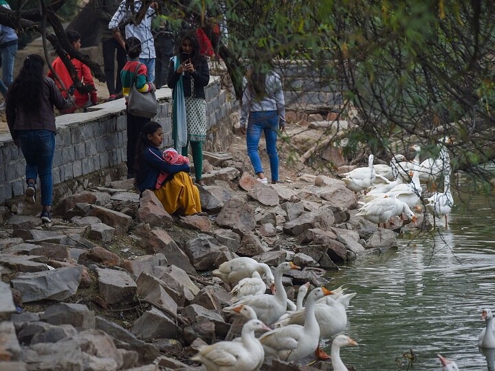 Bird Flu In Delhi: Kejriwal Govt On Alert As Crows, Ducks Found Dead In Jasola, Mayur Vihar, Other Areas Bird Flu In Delhi: Kejriwal Govt On Alert As Crows, Ducks Found Dead In Jasola, Mayur Vihar, Other Areas; See Visuals