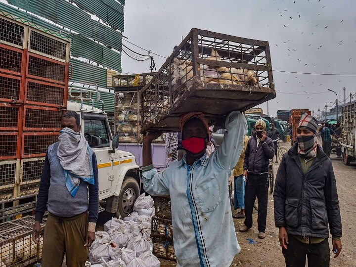 Bird Flu Update: Delhi's Ghazipur Mandi Closed For 10 Days, Kerala Culls Poultry Birds | 10 Points Bird Flu Update: Delhi's Ghazipur Mandi Closed For 10 Days, Kerala Culls Poultry Birds | 10 Points