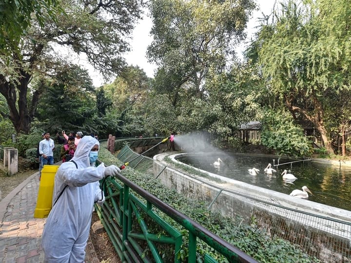Lucknow: A worker wearing a protective suit sprays disinfectant inside Lucknow Zoo in the wake of Avian Influenza outbreak, in Lucknow, Saturday, Jan. 09, 2021. (PTI Photo/Nand Kumar)