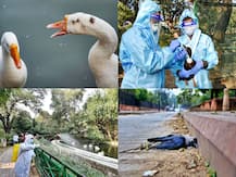 IN PICS | India Battles Bird Flu As Suspicious Death Of Crows, Ducks Reported Across The Country