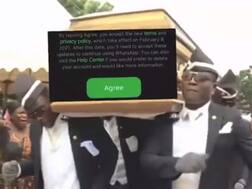Telegram Mocks WhatsApp's New Privacy Policy; Shares GIF Of Coffin Dancers To Troll Messaging App