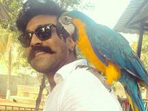 ‘Back in Action’: ‘RRR’ Actor Ram Charan Tests COVID-19 Negative