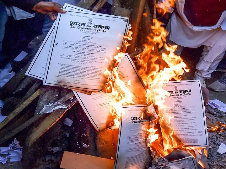 One lakh copies of the three agri laws were burnt at the Singhu border alone on Wednesday, claimed Paramjeet Singh of the Samyukta Kisan Morcha. It comes a day after the farmer unions announced that they would not appear before the committee formed by the Supreme Court to resolve the deadlock over the contentious farm laws. (Image: PTI)
