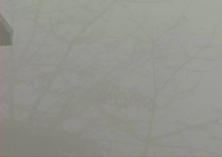 At several places in the Delhi-NCR, the visibility was reported to be less than 10 metres. (Image: ANI)