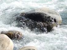 सेल्फी लेने के चक्कर में कोशी नदी में बहे 12 छात्र, दो की मौत