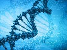 इस वजह से कमजोर हो जाती है याददाश्त और पड़ता है स्ट्रोक!