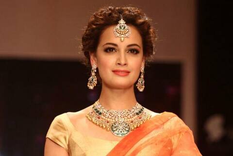 दिया मिर्झाचा साडीतील सुंदर लूक