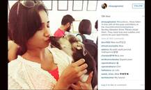 श्रेया ने पपी की पप्पी ली, इंस्टा पर पोस्ट की तस्वीर