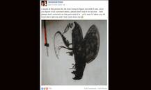 सिलवटों वाली तस्वीर ने फेसबुक पर मचाई सनसनी!