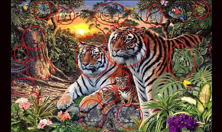 यहां भी पूरज़ोर कोशिश करने के बावजूद ज़्यादातर लोग जवाब नहीं दे पाए. वैसे इन तस्वीरों पर आपकी क्या राय है, इंटरनेट तो जमकर इनके मज़े ले रहा है. 