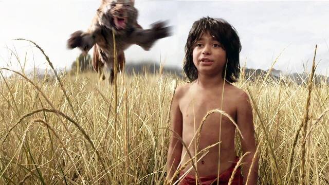 फिल्म ट्रेड एनालिस्ट तरण आदर्श के मुताबिक, ''What's SHOCKING is that the 2nd Tuesday biz of #TheJungleBook [₹ 6.37 cr] is HIGHER than the 1st Tuesday biz of #Fan [₹ 5.75 cr]. India biz.''