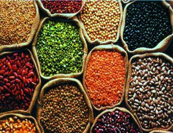 सब्जियों के बाद अब दालों पर महंगाई की मार, एक साल में बढ़ गए 30 से 40 फीसदी दाम