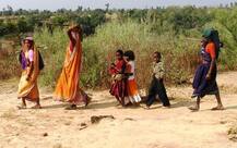 \'बेहाल\' बुंदेलखंड से ग्राउंड रिपोर्ट: \'मुझे मालूम है पानी कहां ठहरा हुआ होगा\'