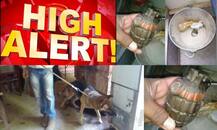 वाराणसी कचहरी में मिला हैंडग्रेनेड, पीएम मोदी के संसदीय क्षेत्र में जारी हाईअलर्ट!